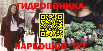 jwh Кандалакша